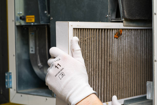Best Affordable Duct Cleaning Services  in Sunray, TX