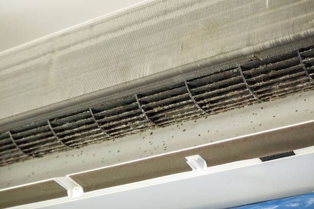 Best HVAC System Cleaning  in Sunray, TX
